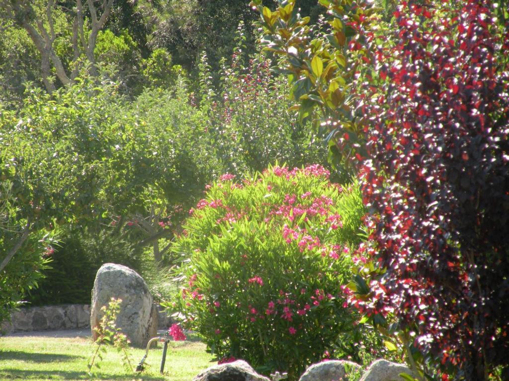 Les Jardins De Santa Giulia Hotel Porto-Vecchio  Exterior foto