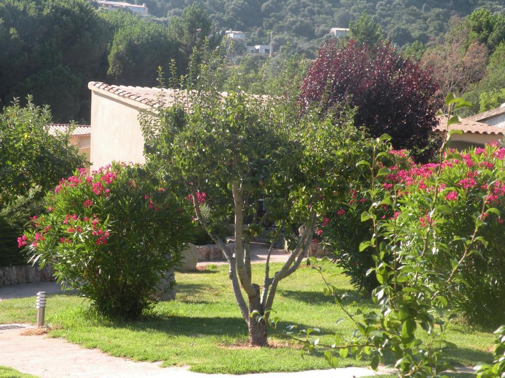 Les Jardins De Santa Giulia Hotel Porto-Vecchio  Exterior foto